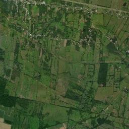 Palo Mulato High Resolution Satellite Map