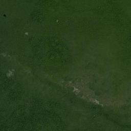 Calakmul High Resolution Satellite Map