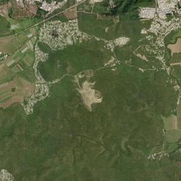 Palomas High Resolution Satellite Map