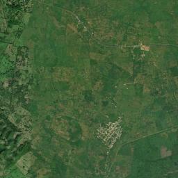 Palomas High Resolution Satellite Map