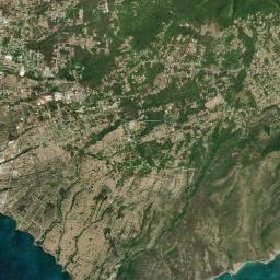 Fig Tree High Resolution Satellite Map