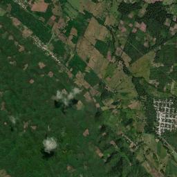 Nuevo Francisco León High Resolution Satellite Map