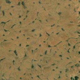 Département de Tchin-Tabaraden High Resolution Satellite Map