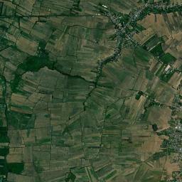 Papaya High Resolution Satellite Map