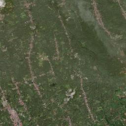 Alfonso High Resolution Satellite Map