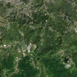 Green Gold High Resolution Satellite Map