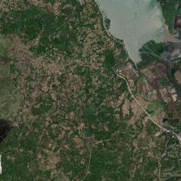 Buenavista High Resolution Satellite Map