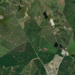 Algarrobo High Resolution Satellite Map