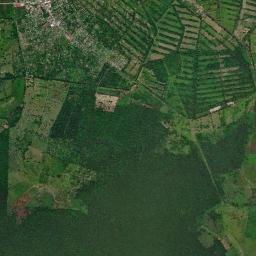 Guabito High Resolution Satellite Map