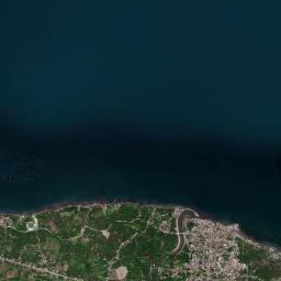 Buenavista High Resolution Satellite Map