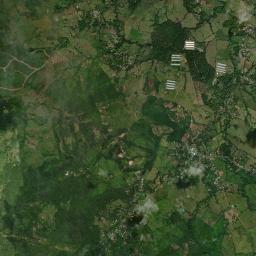 Caimito High Resolution Satellite Map