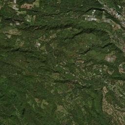 Los Naranjos High Resolution Satellite Map