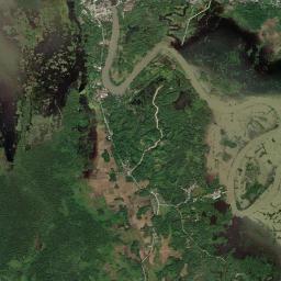 Talacogon High Resolution Satellite Map