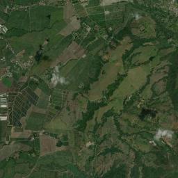 Palmira High Resolution Satellite Map