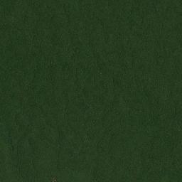 Barranco Minas High Resolution Satellite Map