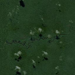 Municipio Autónomo Alto Orinoco High Resolution Satellite Map
