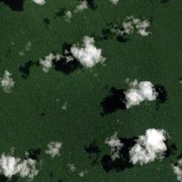 Papunaua High Resolution Satellite Map
