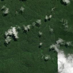 Laranjal do Jari High Resolution Satellite Map