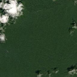 Puerto Alegría High Resolution Satellite Map