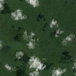 Japurá High Resolution Satellite Map