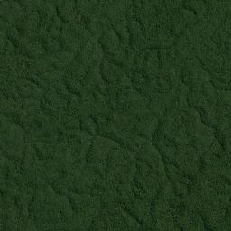 São Sebastião do Uatumã High Resolution Satellite Map