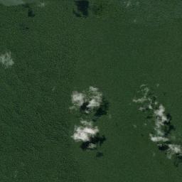 Novo Airão High Resolution Satellite Map