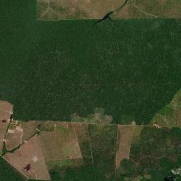 Ipixuna do Pará High Resolution Satellite Map