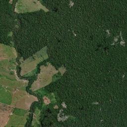 Medicilândia High Resolution Satellite Map