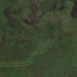 Kabupaten Pulang Pisau High Resolution Satellite Map