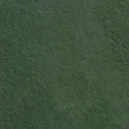 Bom Jardim High Resolution Satellite Map