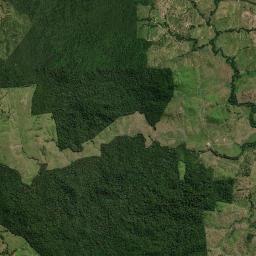 Palestina do Pará High Resolution Satellite Map