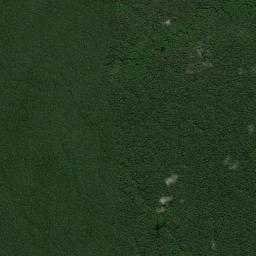 Tapauá High Resolution Satellite Map