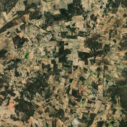 Tavares High Resolution Satellite Map