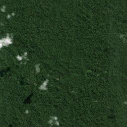 Provincia de Coronel Portillo High Resolution Satellite Map