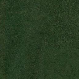 Cotriguaçu High Resolution Satellite Map