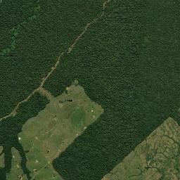 Bujari High Resolution Satellite Map