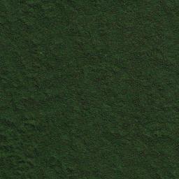 Purus High Resolution Satellite Map