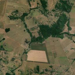 Novo Horizonte do Norte High Resolution Satellite Map