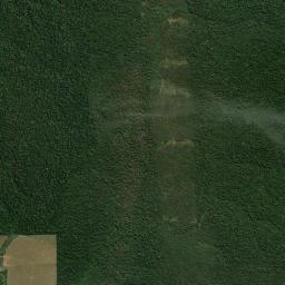 Corumbiara High Resolution Satellite Map