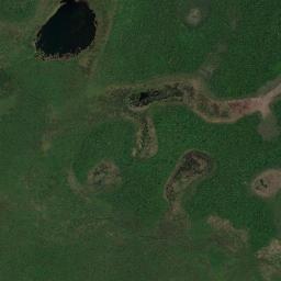 Pimenteiras do Oeste High Resolution Satellite Map