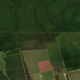 Gaúcha do Norte High Resolution Satellite Map