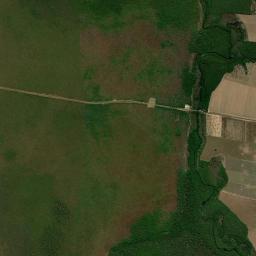 Campo Novo do Parecis High Resolution Satellite Map