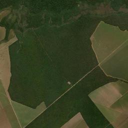 Diamantino High Resolution Satellite Map