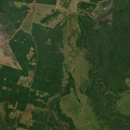 Ascensión High Resolution Satellite Map