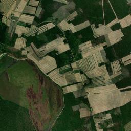 Guarayos High Resolution Satellite Map