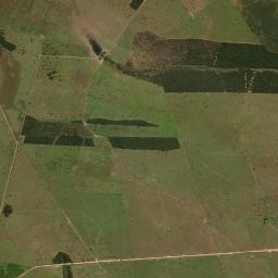 Pedro Gomes High Resolution Satellite Map