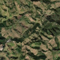 Roseira High Resolution Satellite Map