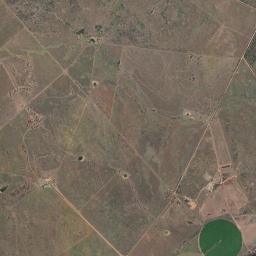 Banana High Resolution Satellite Map