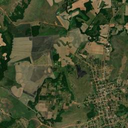 Buena Vista High Resolution Satellite Map