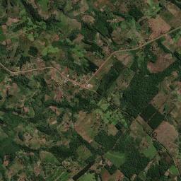 Departamento de San Pedro High Resolution Satellite Map